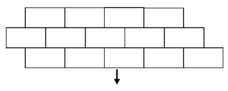  (  )